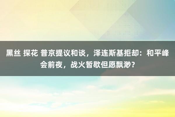 黑丝 探花 普京提议和谈，泽连斯基拒却：和平峰会前夜，战火暂歇但愿飘渺？