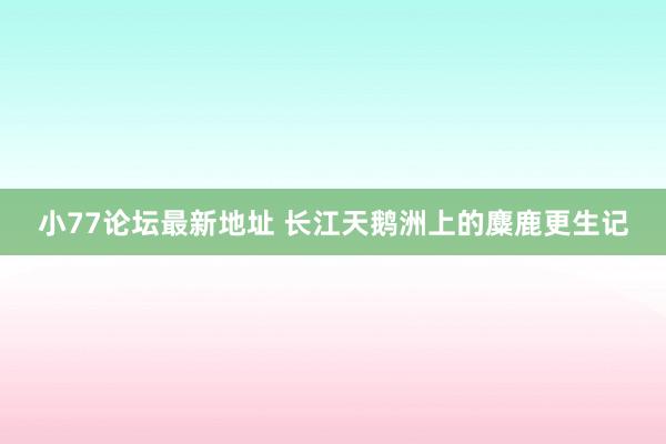 小77论坛最新地址 长江天鹅洲上的麋鹿更生记