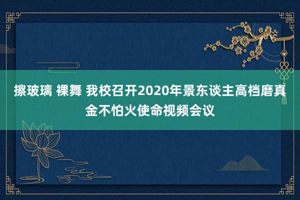 擦玻璃 裸舞 我校召开2020年景东谈主高档磨真金不怕火使命视频会议