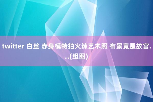 twitter 白丝 赤身模特拍火辣艺术照 布景竟是故宫...(组图)