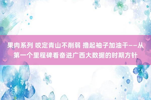 果肉系列 咬定青山不削弱 撸起袖子加油干——从第一个里程碑看奋进广西大数据的时期方针