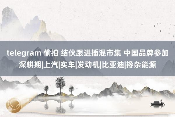 telegram 偷拍 结伙跟进插混市集 中国品牌参加深耕期|上汽|实车|发动机|比亚迪|搀杂能源