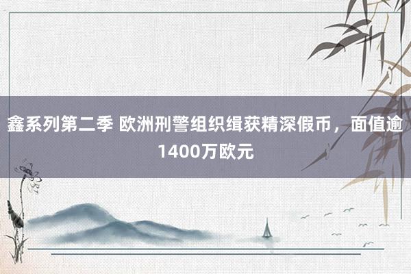 鑫系列第二季 欧洲刑警组织缉获精深假币，面值逾1400万欧元