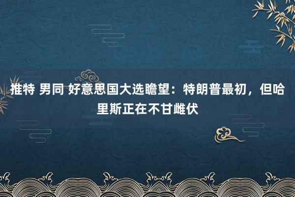 推特 男同 好意思国大选瞻望：特朗普最初，但哈里斯正在不甘雌伏