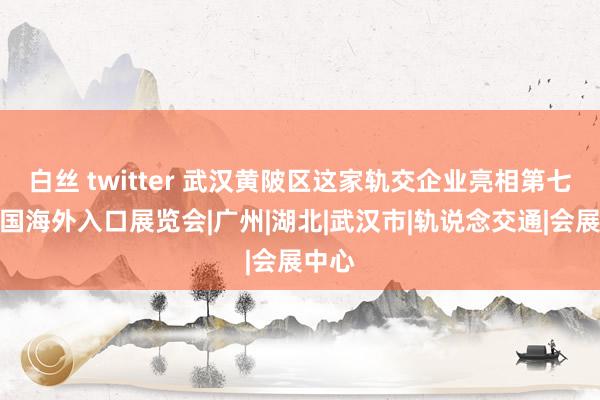 白丝 twitter 武汉黄陂区这家轨交企业亮相第七届中国海外入口展览会|广州|湖北|武汉市|轨说念交通|会展中心