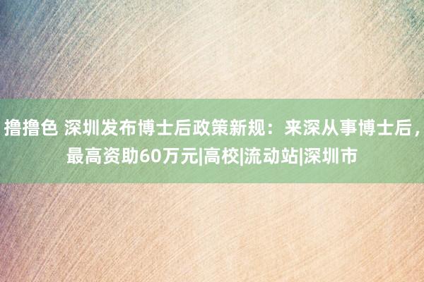 撸撸色 深圳发布博士后政策新规：来深从事博士后，最高资助60万元|高校|流动站|深圳市