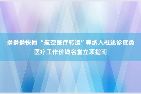 撸撸撸快播 “航空医疗转运”等纳入概述诊查类医疗工作价钱名堂立项指南