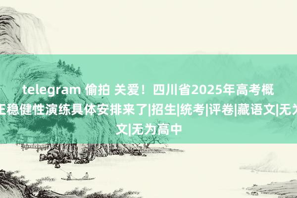 telegram 偷拍 关爱！四川省2025年高考概述校正稳健性演练具体安排来了|招生|统考|评卷|藏语文|无为高中