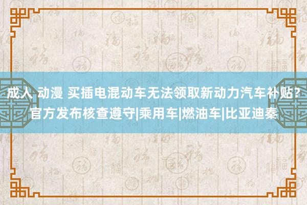 成人 动漫 买插电混动车无法领取新动力汽车补贴？官方发布核查遵守|乘用车|燃油车|比亚迪秦