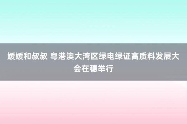 媛媛和叔叔 粤港澳大湾区绿电绿证高质料发展大会在穗举行
