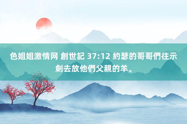 色姐姐激情网 創世記 37:12 約瑟的哥哥們往示劍去放他們父親的羊。